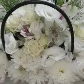 عکس زهرا آزادبخت